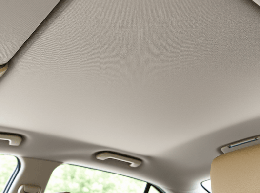 Roof Lining Clean - Sleek